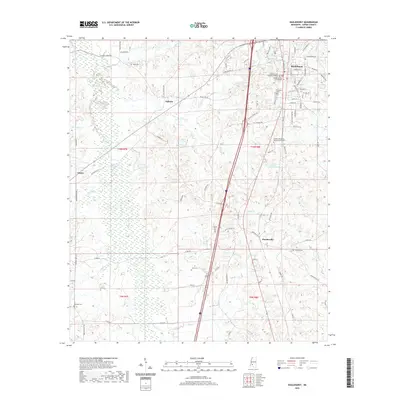 2020 Map of Hazlehurst, 2020 Print
