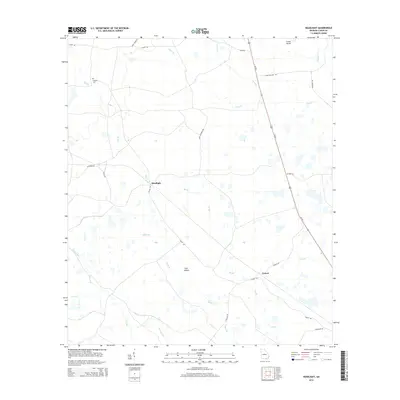 2014 Map of Headlight, 2014 Print