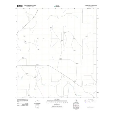 2010 Map of Hebbronville SE, 2010 Print