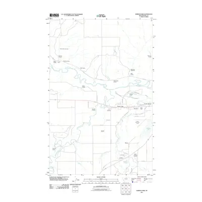 2011 Map of Herron Park, 2011 Print