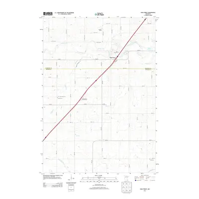 2013 Map of High Forest, 2013 Print