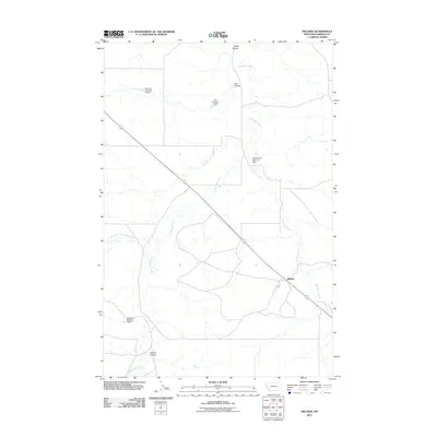 2011 Map of Hillside, 2011 Print