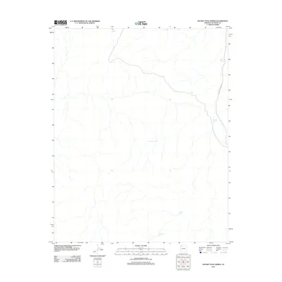 2011 Map of Hockey Puck Spring, 2011 Print