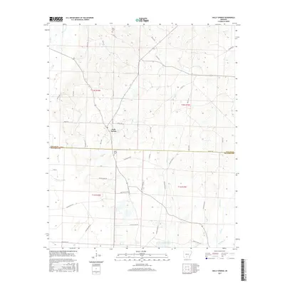 2017 Map of Holly Springs, 2017 Print