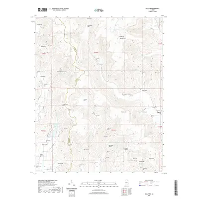 2020 Map of Hollytree, 2020 Print