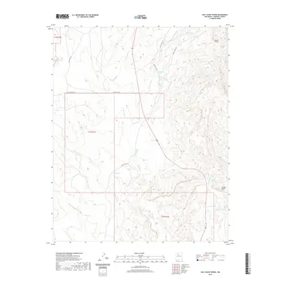 2020 Map of Holy Ghost Spring, 2020 Print