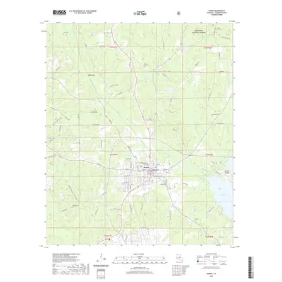 2020 Map of Homer, 2020 Print
