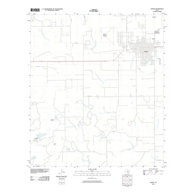 2010 Map of Hondo, 2010 Print