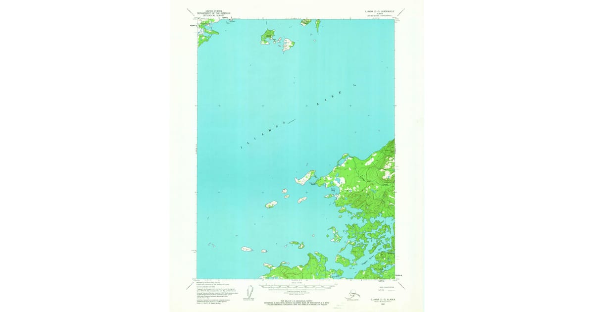1954 Map of Iliamna C-5, Lake and Peninsula Borough, AK — High-Res ...