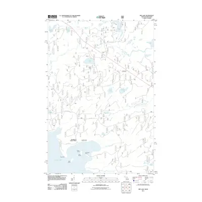 2011 Map of Imp Lake, 2011 Print