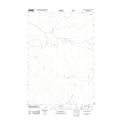 2011 Map of Indian Spring, 2011 Print