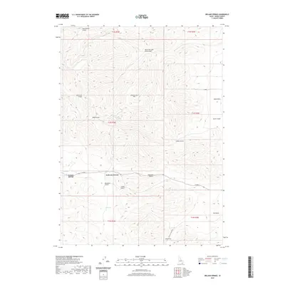 2020 Map of Ireland Springs, 2020 Print