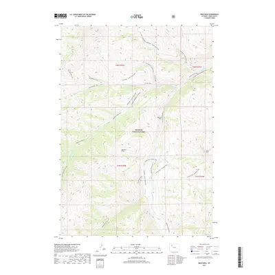 2017 Map of Irish Rock, 2017 Print