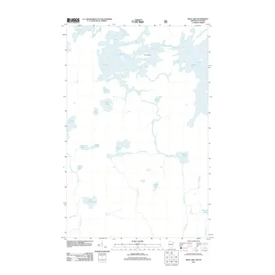 2011 Map of Iron Lake, 2011 Print