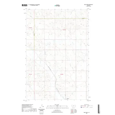 2020 Map of Ismay North, 2020 Print