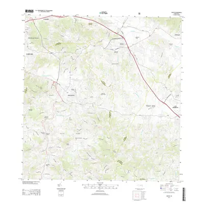 2013 Map of Juncos, 2013 Print