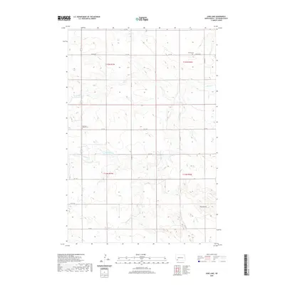 2020 Map of Jung Lake, 2020 Print