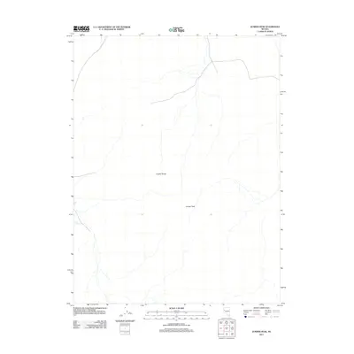 2011 Map of Juniper Peak, 2011 Print
