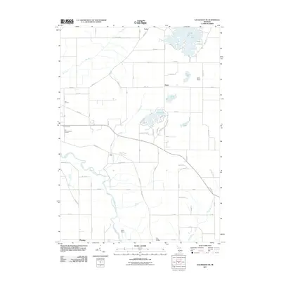 2011 Map of Kalamazoo NE, 2011 Print