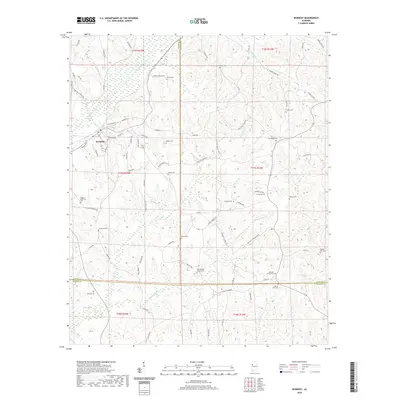 2020 Map of Kennedy, 2020 Print
