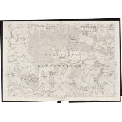1867 Map of Kent XLI, 1872 Print