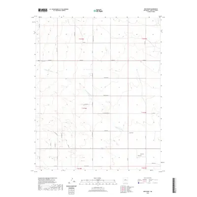 2020 Map of King Draw, 2020 Print
