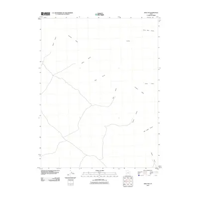 2010 Map of King Top, 2010 Print