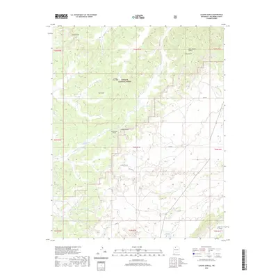 2020 Map of Laguna Gurule, 2020 Print