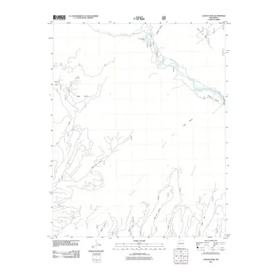 2011 Map of Laguna Peak, 2011 Print
