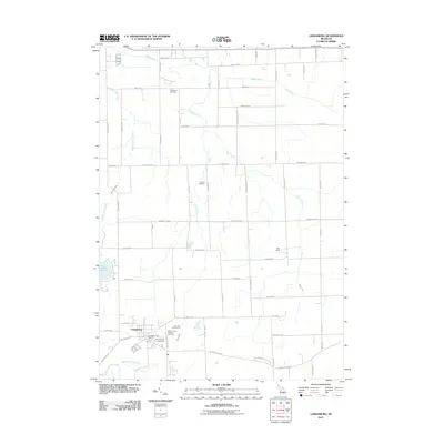 2011 Map of Laingsburg, 2011 Print