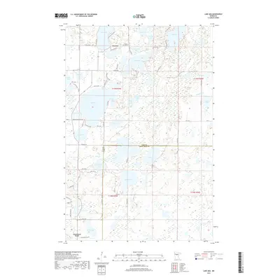2019 Map of Lake Ada, 2019 Print