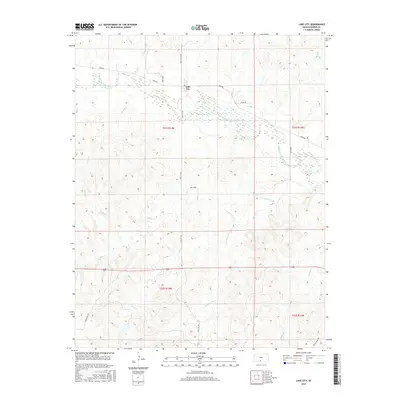 2015 Map of Lake City, 2015 Print