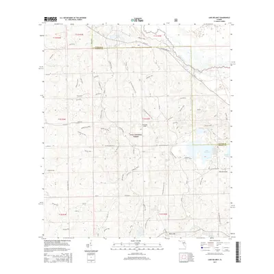 2015 Map of Lake Delancy, 2015 Print