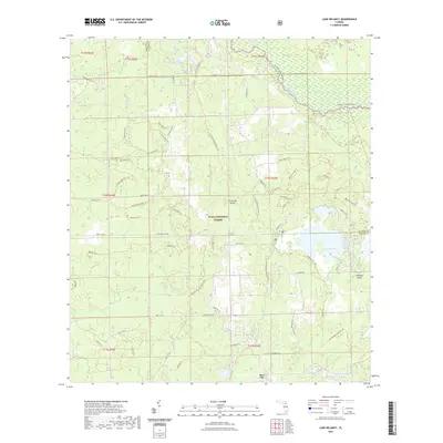 2021 Map of Lake Delancy, 2021 Print