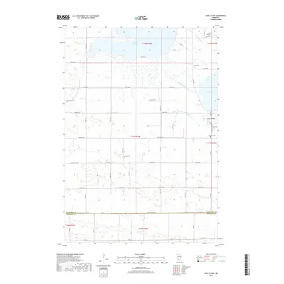2019 Map of Lake Lillian, 2019 Print