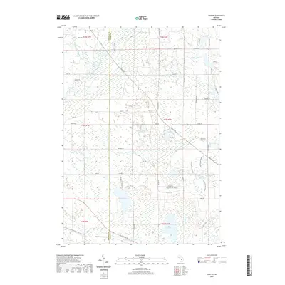 2019 Map of Lake NE, 2019 Print