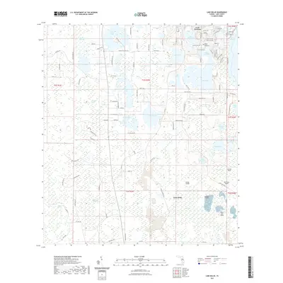 2021 Map of Lake Nellie, 2021 Print