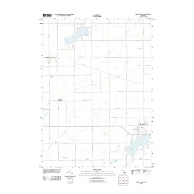 2011 Map of Lake Odessa, 2011 Print