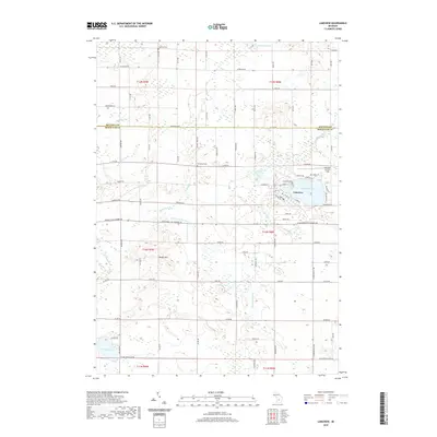 2019 Map of Lakeview, 2019 Print