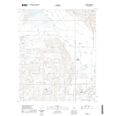 2021 Map of Lakeview, 2021 Print