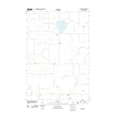2011 Map of Larks Lake, 2011 Print