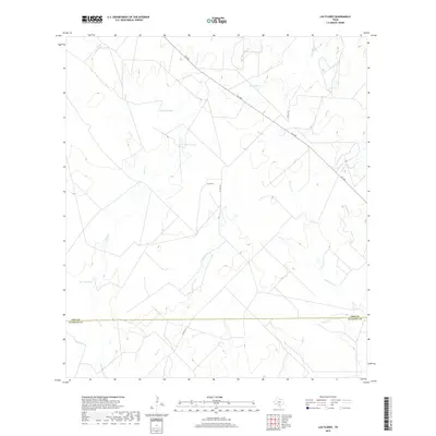 2019 Map of Las Flores, 2019 Print