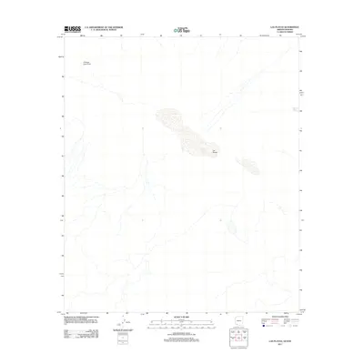 2011 Map of Las Playas, 2011 Print