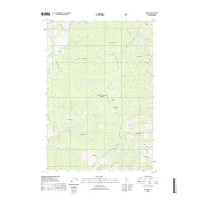 2020 Map of Leesburg, 2020 Print