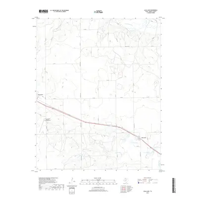 2019 Map of Lelia Lake, 2019 Print