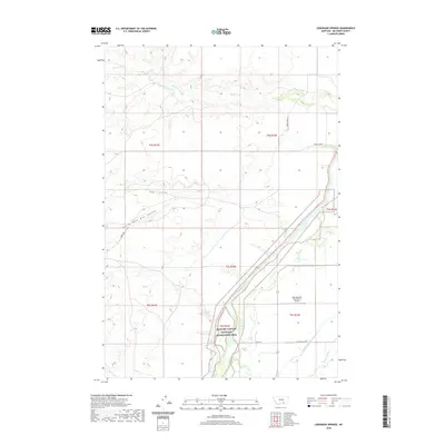 2020 Map of Lemonade Springs, 2020 Print