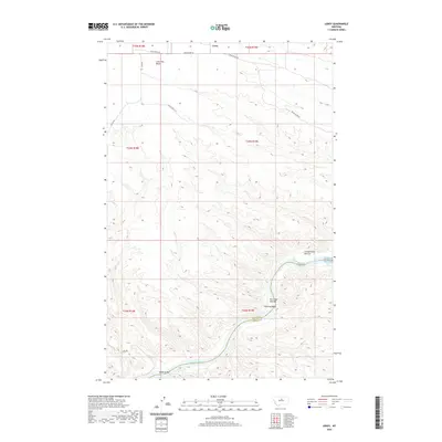 2020 Map of Leroy, 2020 Print