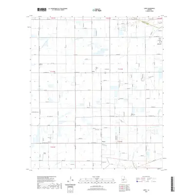2020 Map of Leroy, 2020 Print