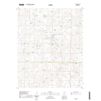 2020 Map of Leslie, 2020 Print