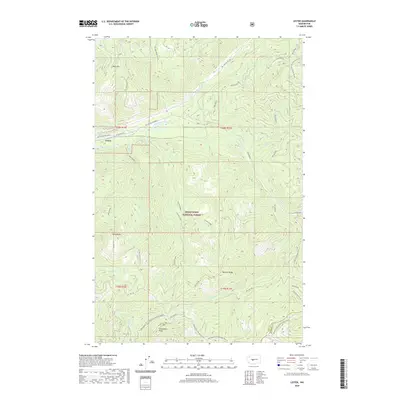 2020 Map of Lester, 2020 Print